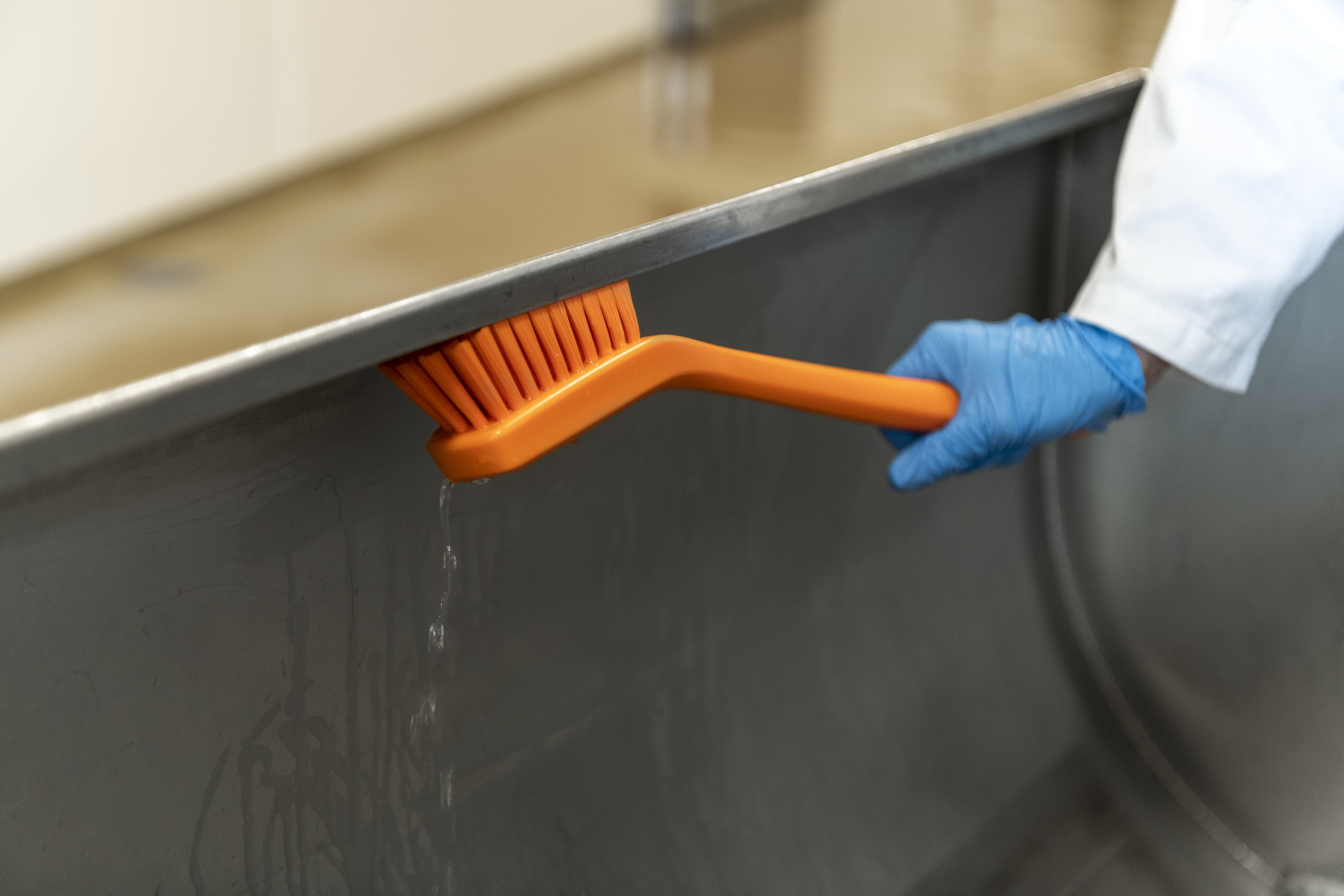 Biofilm_Teaser image