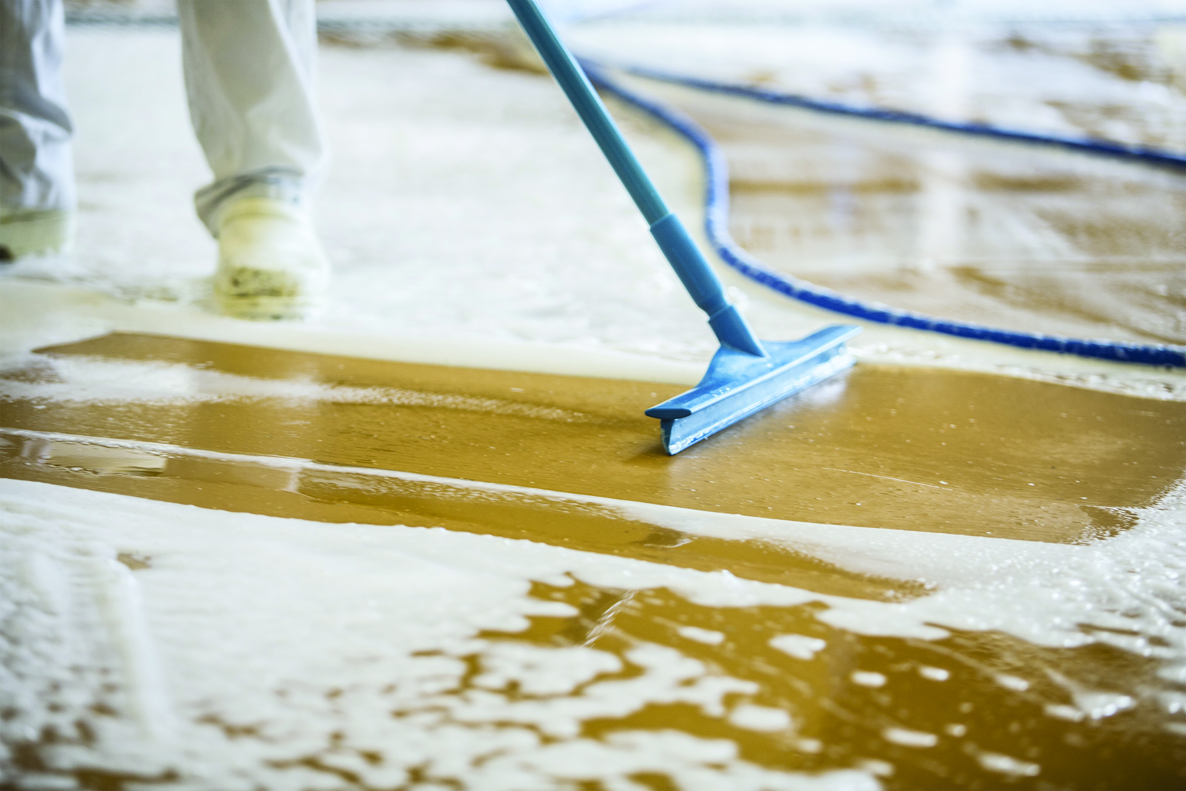 FDA New Era Blog 2022 Picture.jpg