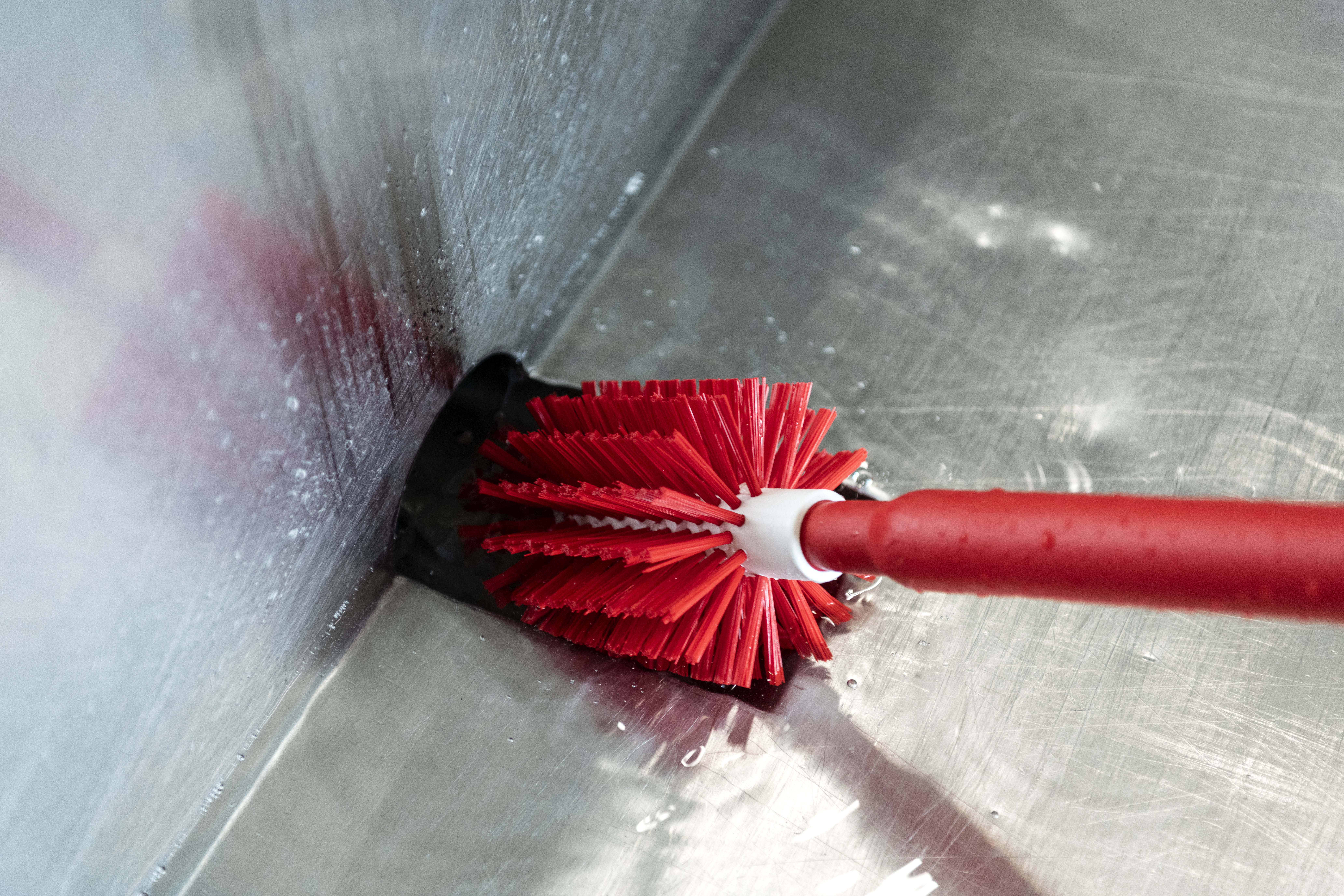 Battling with Biofilms: Know your enemy and defeat them in drains_image