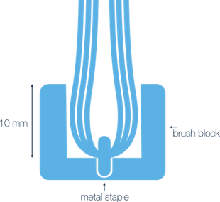 Understanding bristle fixation in food industry
