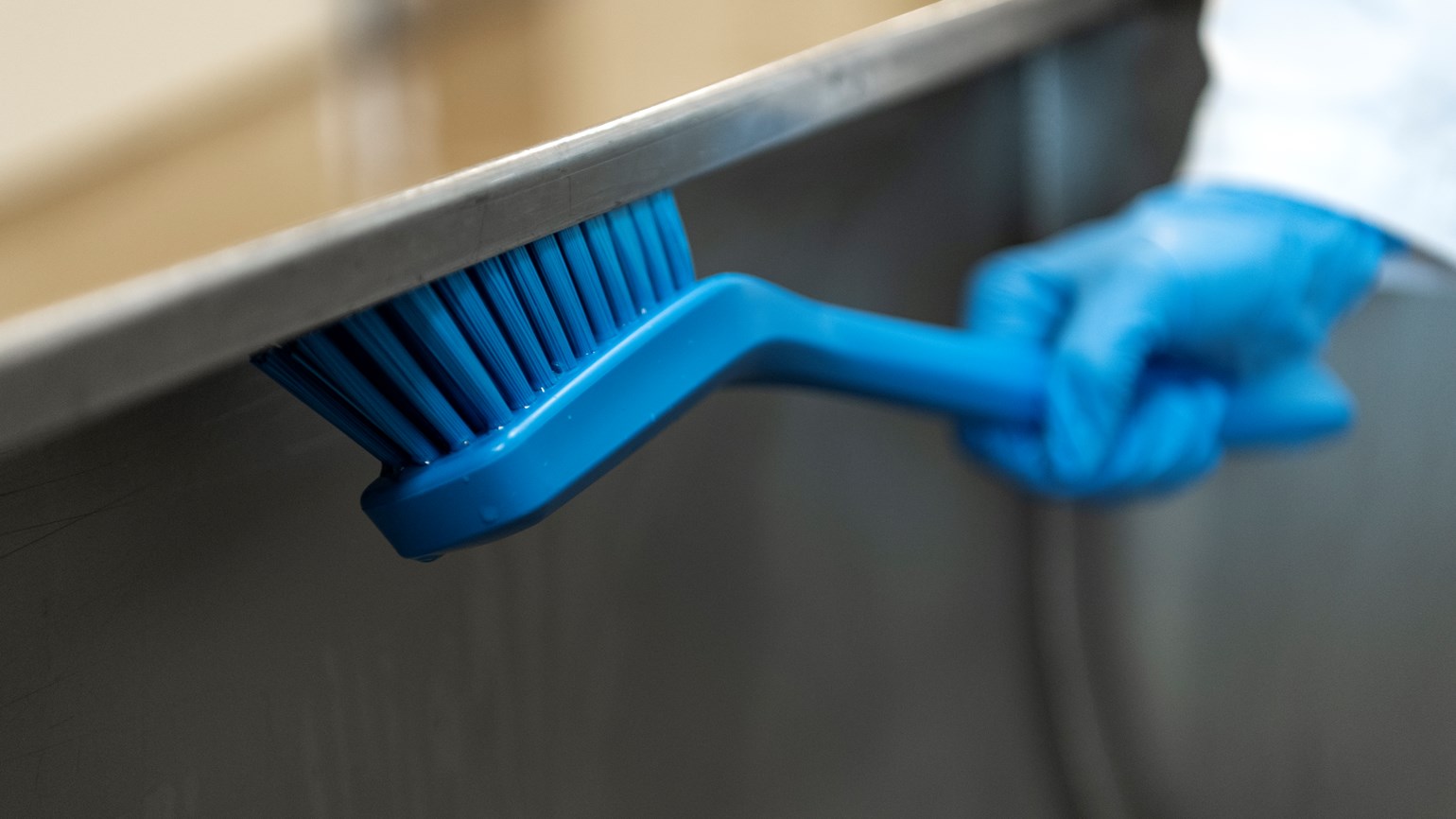 Sector Insight: Household cleaners