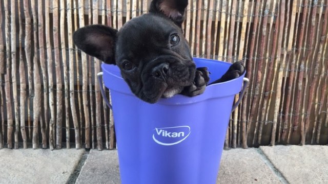 Bucket_Half_Full_Teaser_640x360.jpg