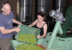 Olives et al production image