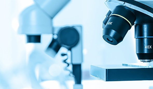 The Vissing Foundation