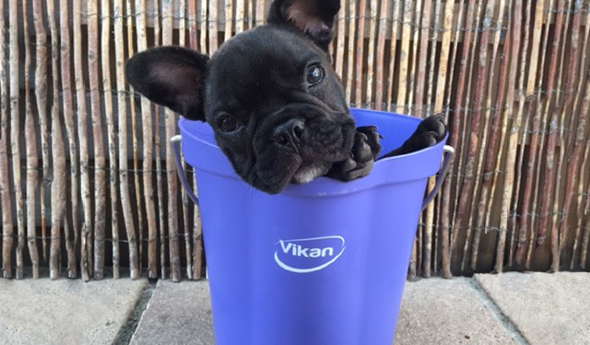 Bucket half full or half empty - blog post 