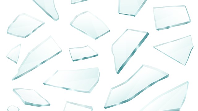 Banner image