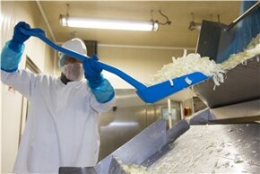 Vikan Ergonomic shovel, 1310 mm, Blue