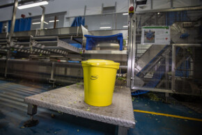 Vikan Bucket, Metal Detectable, 12 Litre, Blue