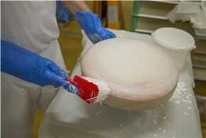 Vikan Washing Brush with short handle, 270 mm, Soft, Blue