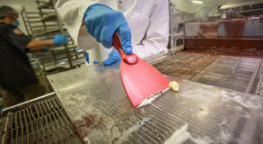 Vikan Hand Scraper, Metal Detectable, 102 mm, Blue