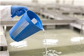 Vikan Measuring jug, 2 Litre, Blue