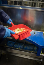 Vikan UST Bench Brush, 330 mm, Soft, Blue