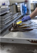 Vikan Nylon Hand Scraper, 100 mm, Blue