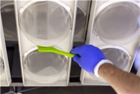 Vikan Detail Brush, 205 mm, Very hard, Blue