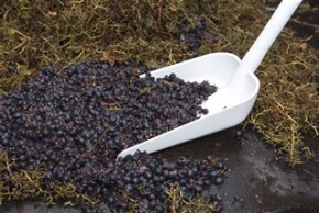 Vikan Ergonomic shovel, 1310 mm, Blue