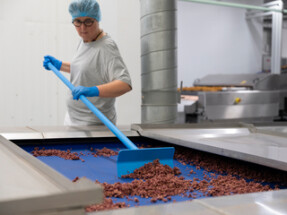 Vikan Push-Pull Hoe, 270 mm,Blue