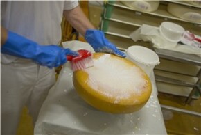 Vikan Washing Brush with short handle, 270 mm, Soft, Blue