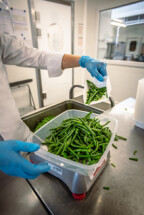 Vikan Hand Scoop, Metal Detectable, 1 Litre, Blue