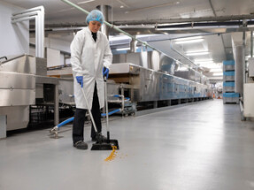 Vikan Dustpan Broom with Angled Thread, 250 mm, Medium, Blue