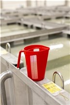 Vikan Measuring jug, 2 Litre, Blue