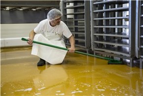 Vikan Pad, stiff, 245 mm, Hard, Brown