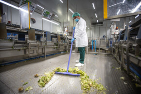 Vikan Ultra Hygiene Squeegee, 500 mm, Blue