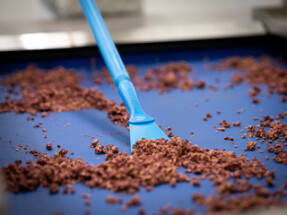 Vikan Nylon Scraper with Threaded Handle, 100 mm, Blue