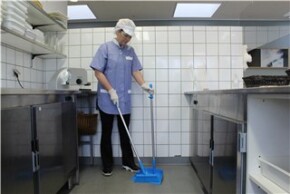 Vikan Dustpan Broom with Angled Thread, 250 mm, Medium, Blue