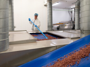 Vikan Nylon Scraper with Threaded Handle, 100 mm, Blue