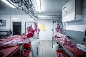 Vikan Hygienic Hi-Flex Wall Bracket System, 420 mm, Blue